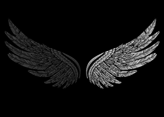 two angel wings
