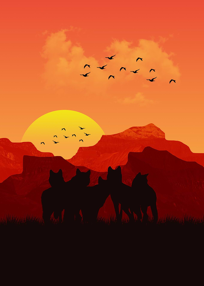 Pack of Wolves