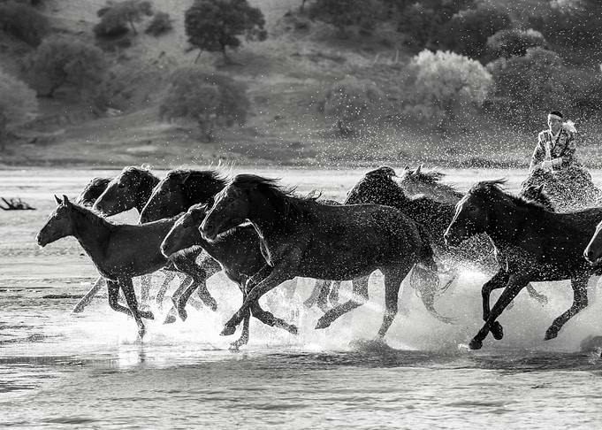 Strength in Numbers
