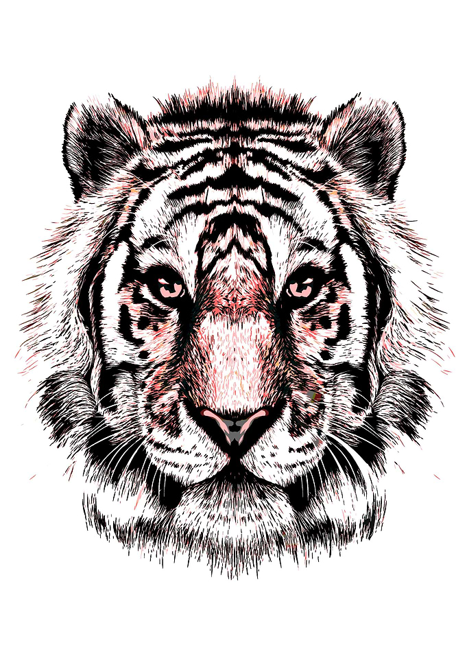 Grayscale Tiger