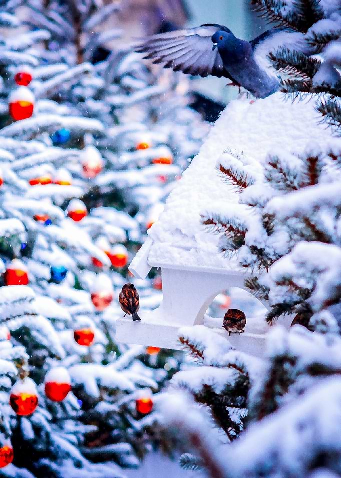 Christmas Idyll Vertical