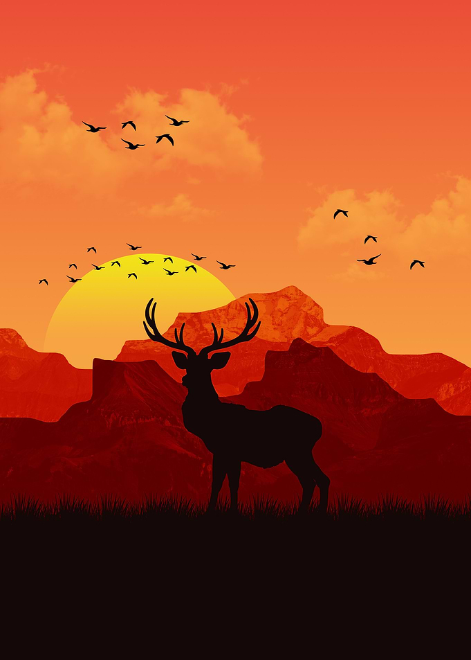 Deer