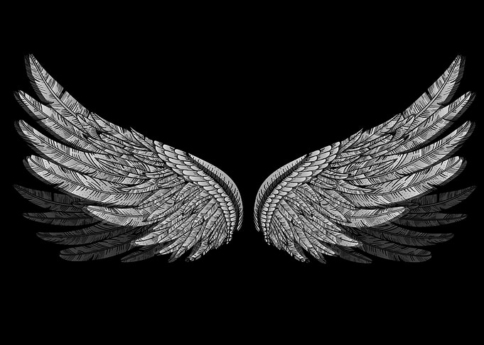 angel wings