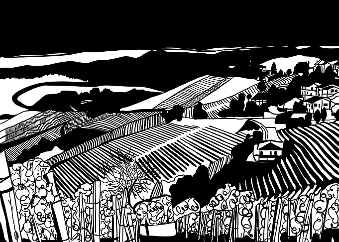 Tuscan vineyard view