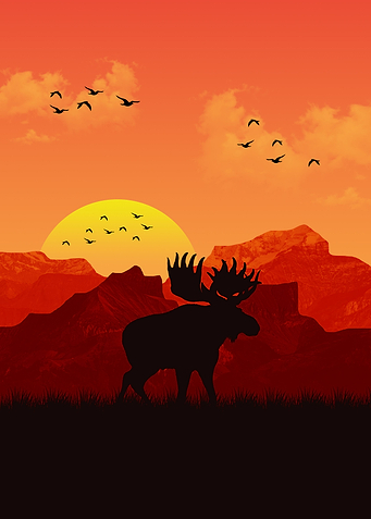 Moose