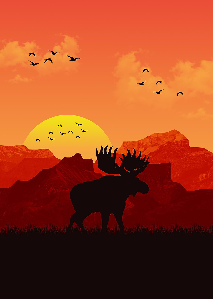 Moose