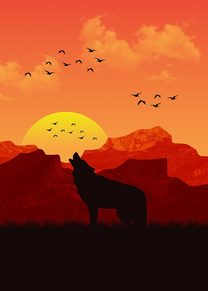 Howling Wolf