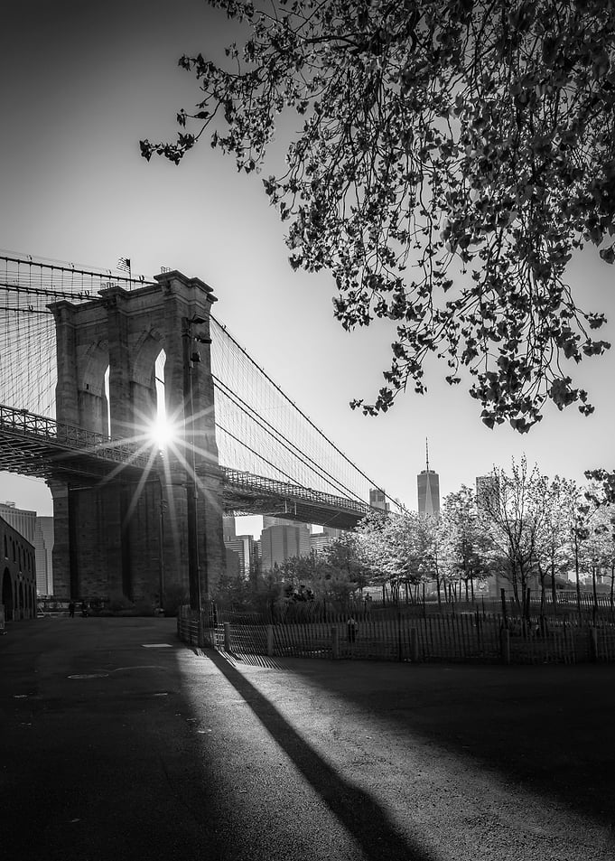 NYC Against the light