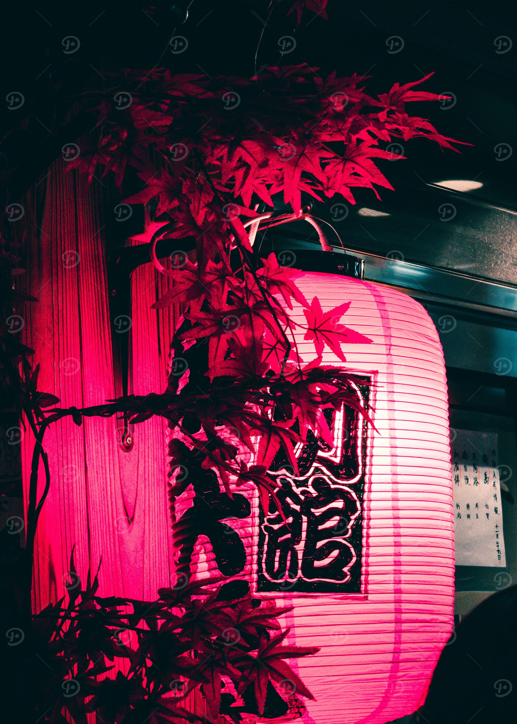 Japanese light bulb