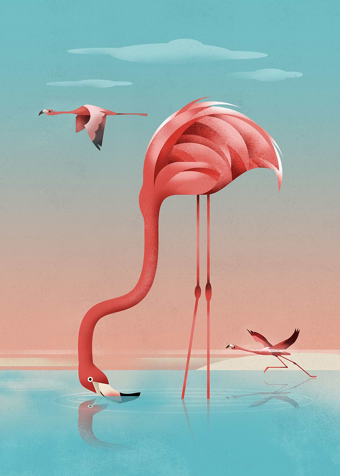 Flamingo