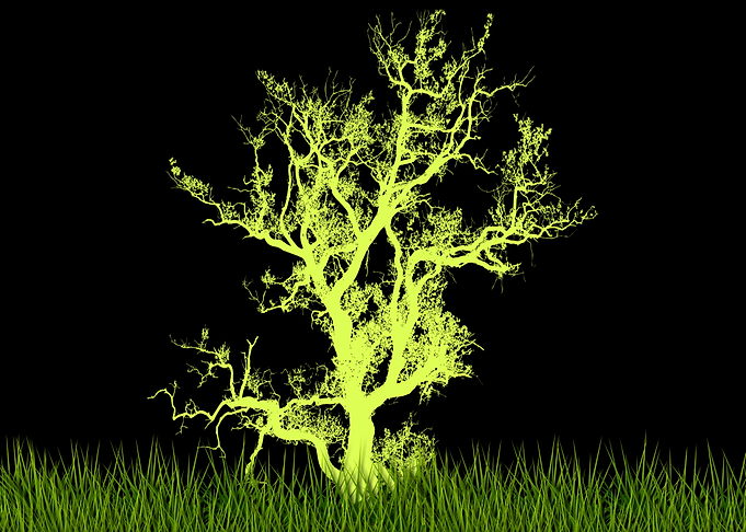 Tree 2