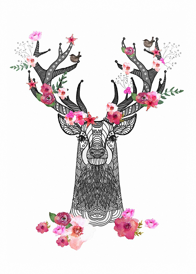 CUTE STAG