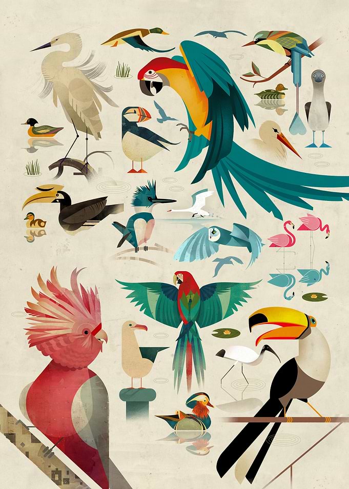 Birds