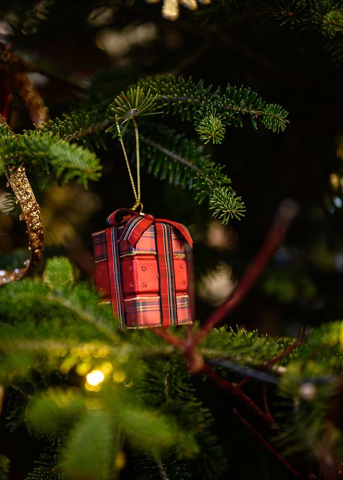 Christmas Tree Decoration
