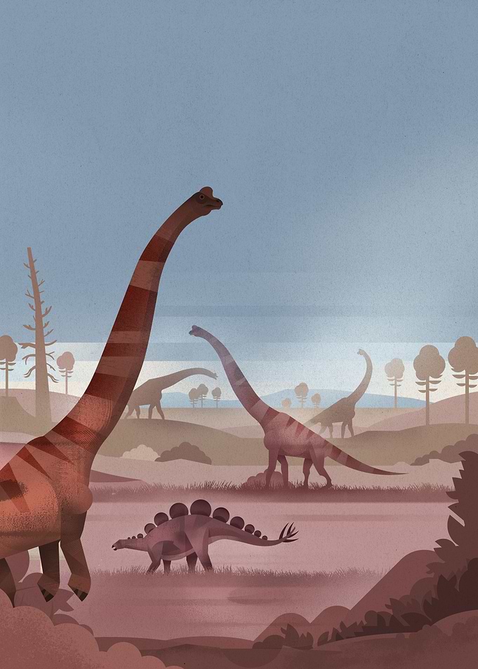 Valley of dinosaurs 1