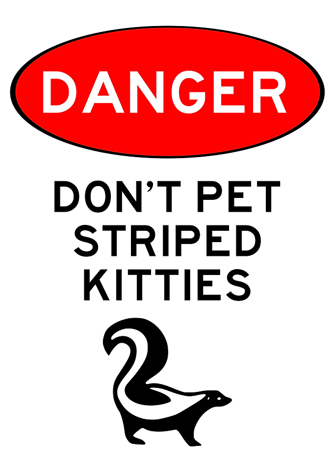 Skunk Cat Funny Outdoor