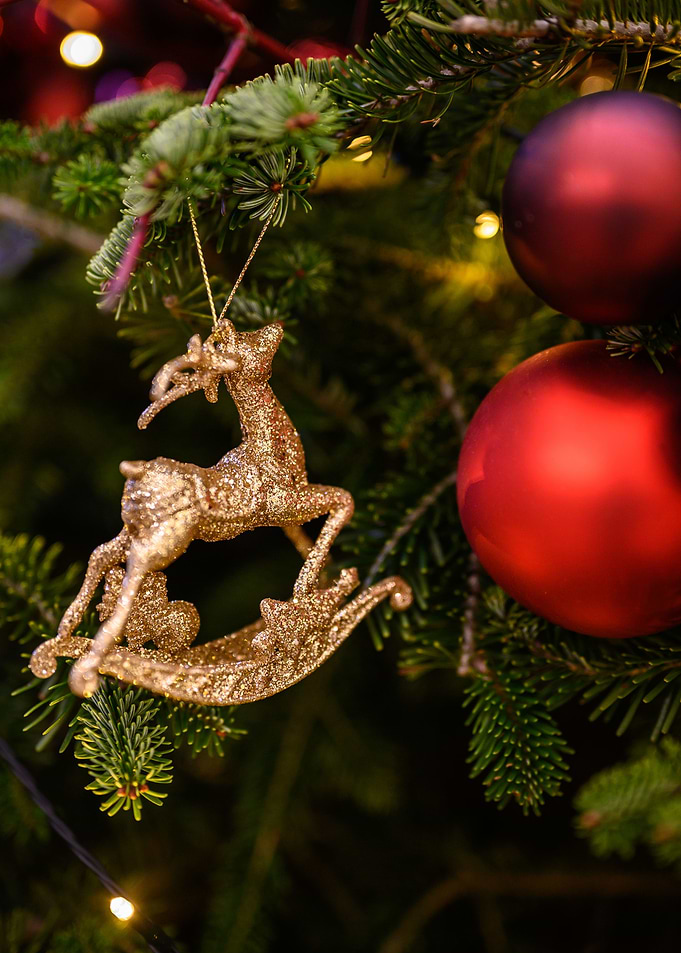 Christmas Tree Decoration