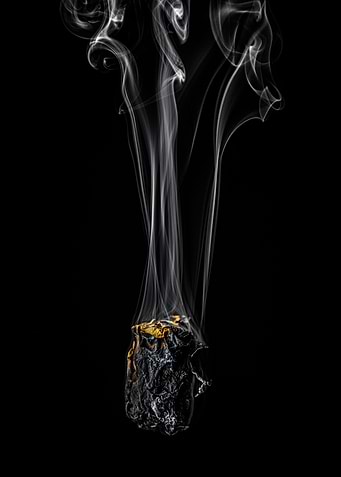 Rose smoke and fire nr 2