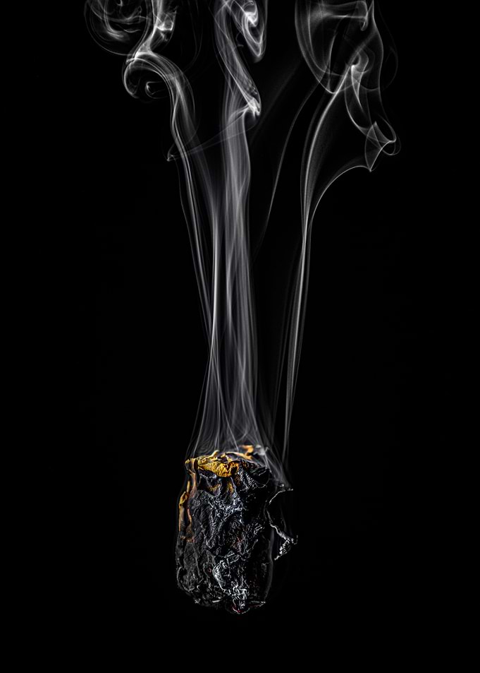 Rose smoke and fire nr 2