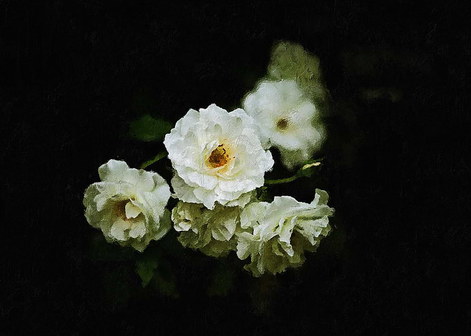 White Floral