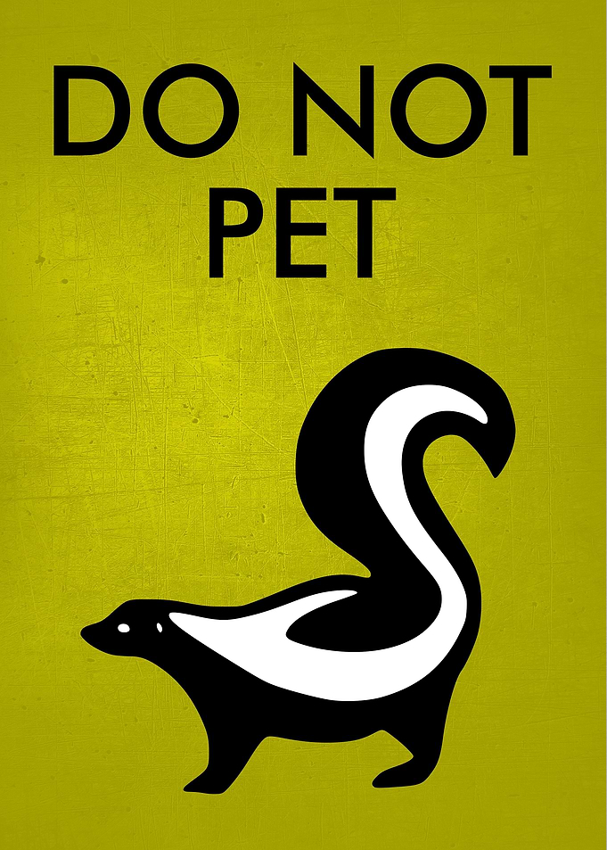 Skunk Cat Funny Outdoor