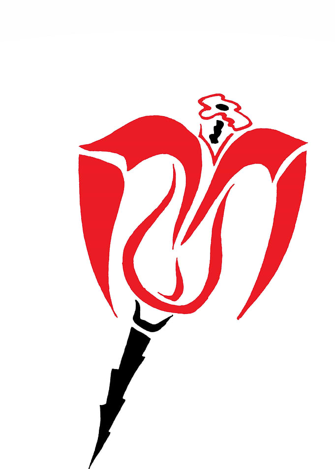 Red Rose