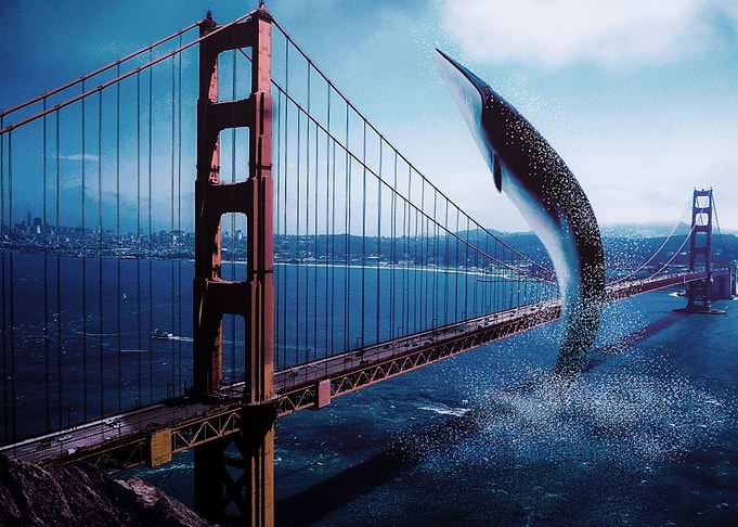 WHALE ABOVE BROOKLYN