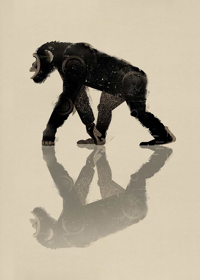 Chimp