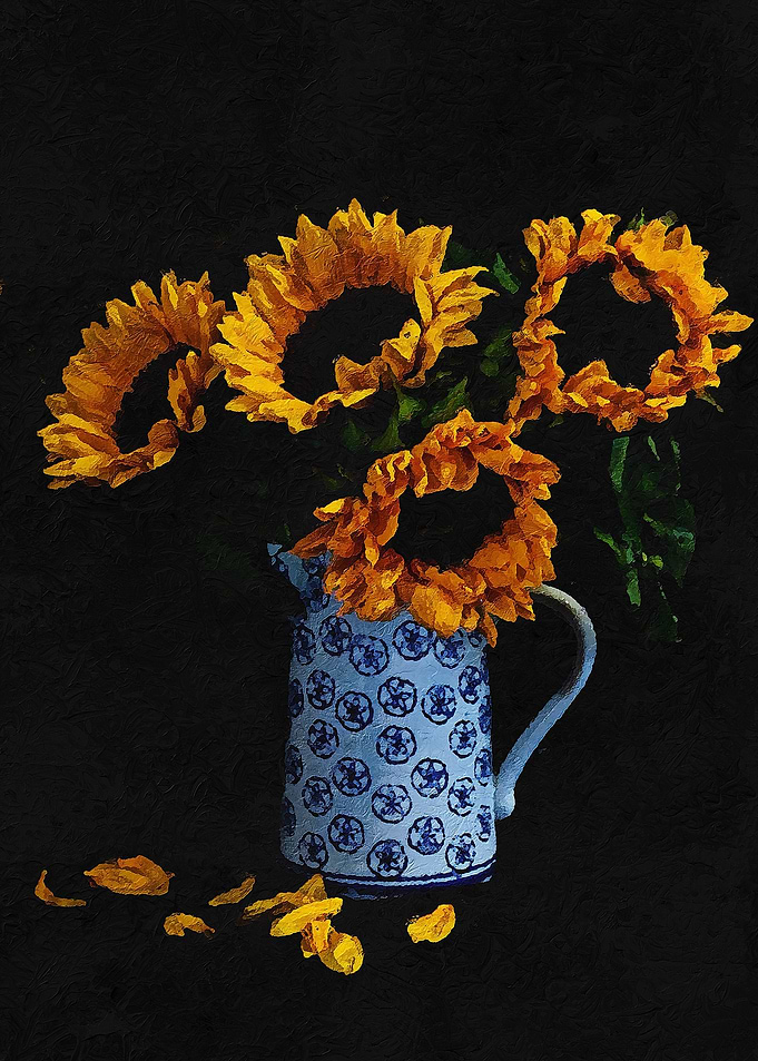 Chrysanthemum
