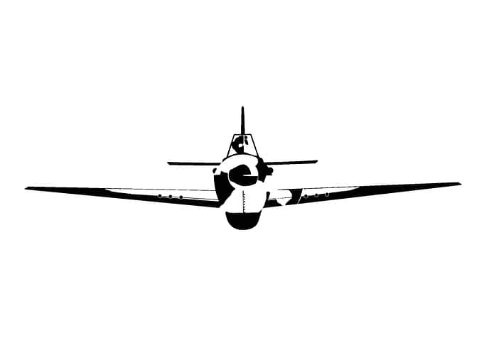 Fighter