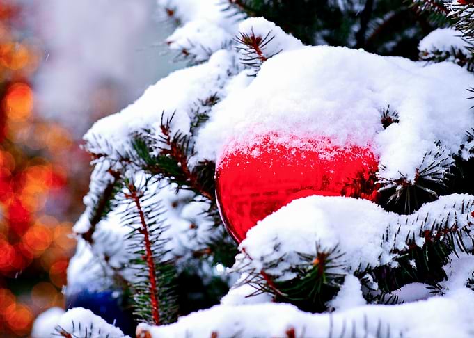 Red Christmas Ornament