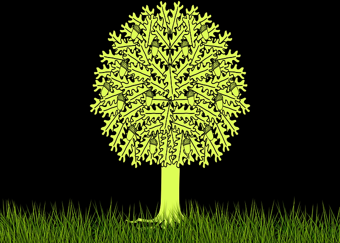 Tree 4