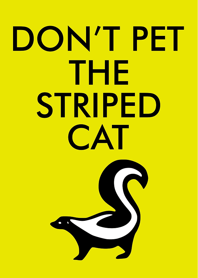 Skunk Funny Animal