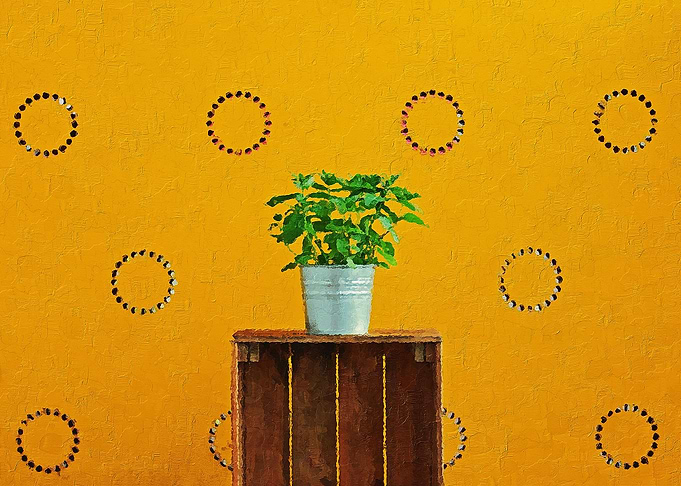 Little Tree