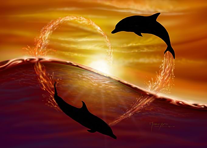 HEART OF DOLPHINS