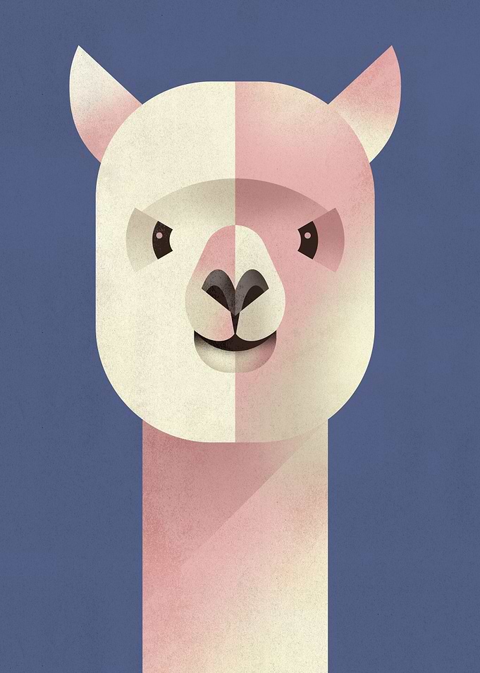 Alpaca