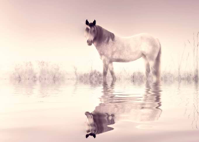 UNICORN PASTEL