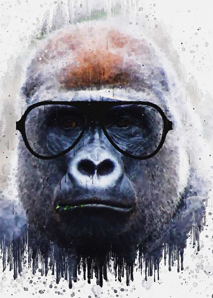 Cute Gorilla