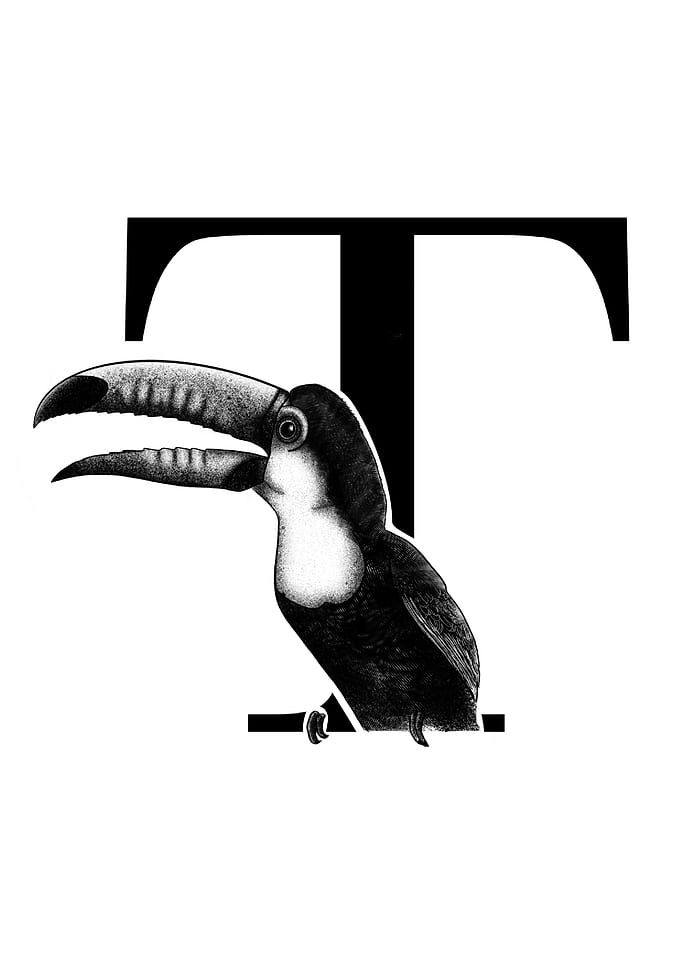 T is for Toucan