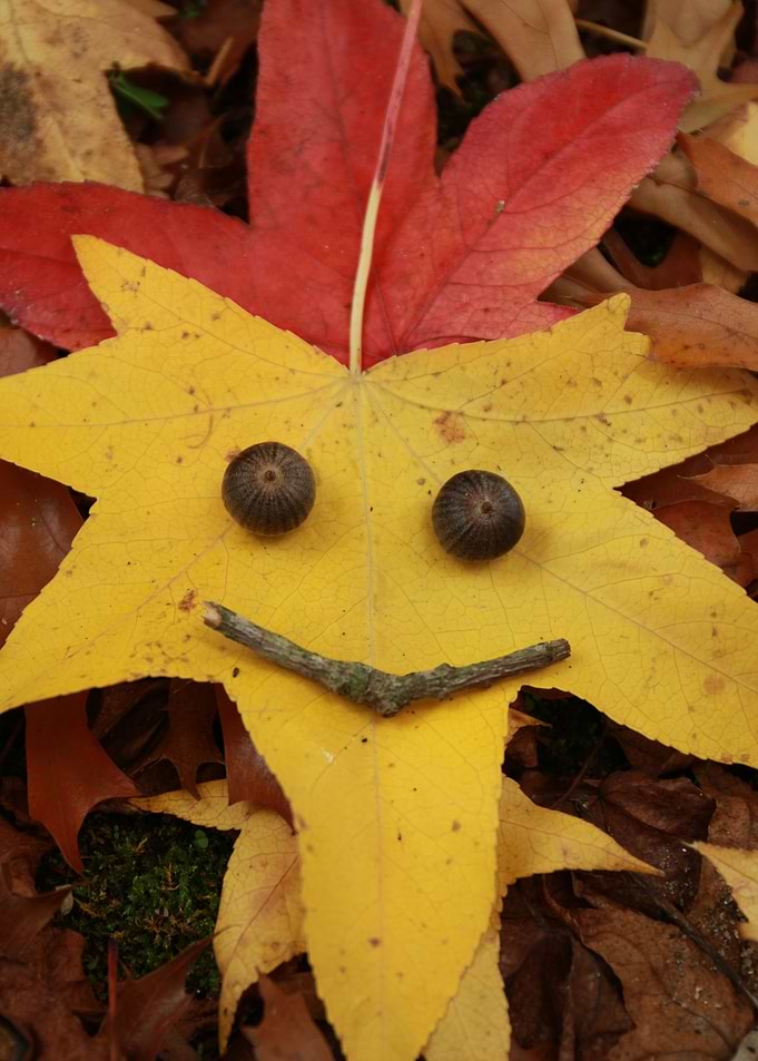 Autumn is smiling at you
