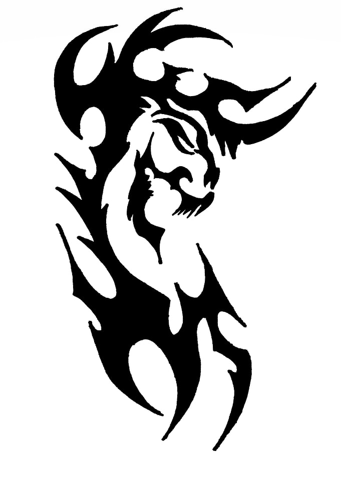 Primitive Dracon