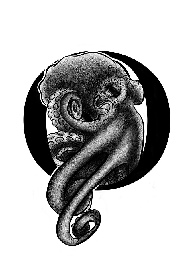 O is for Octopus
