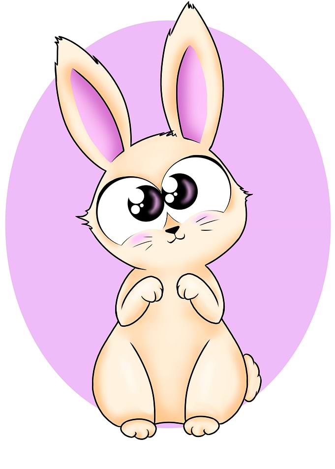 Lili the rabbit