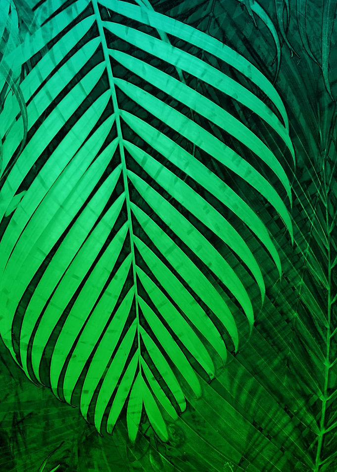 TROPICAL GREEN LEAVES 5