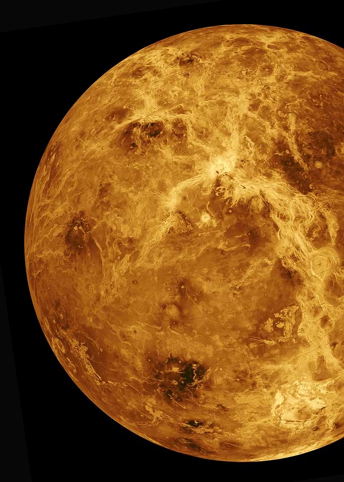 Venus Venus