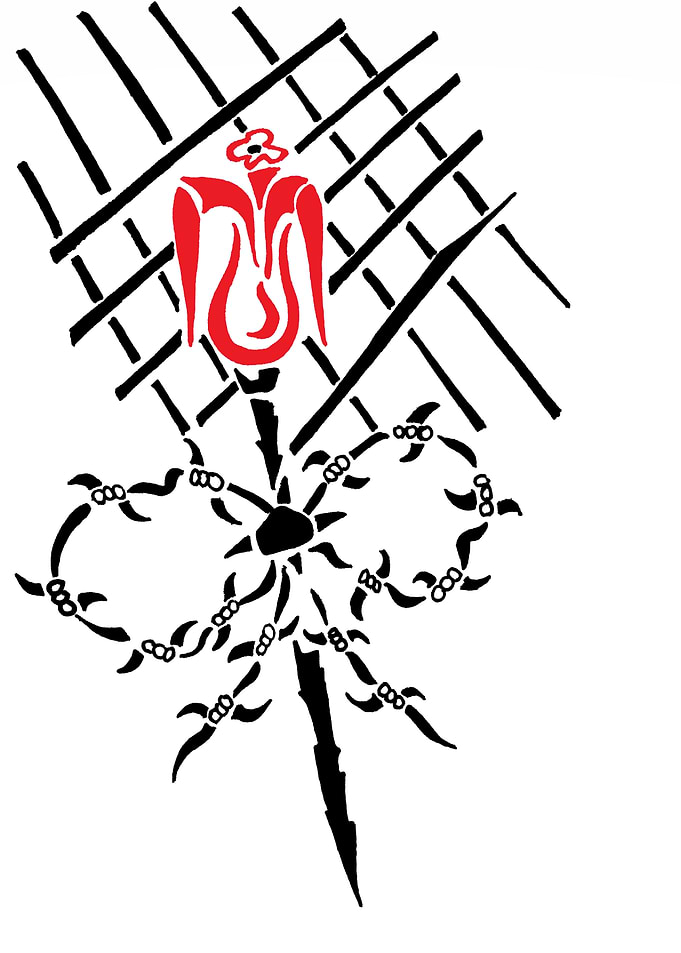 Roses after grills