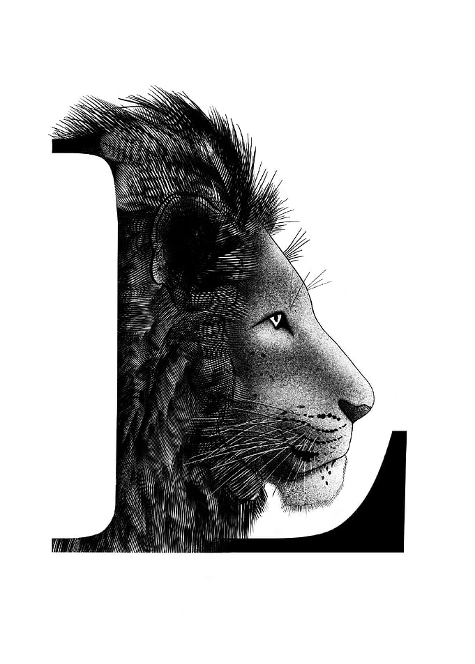 L is for Lion