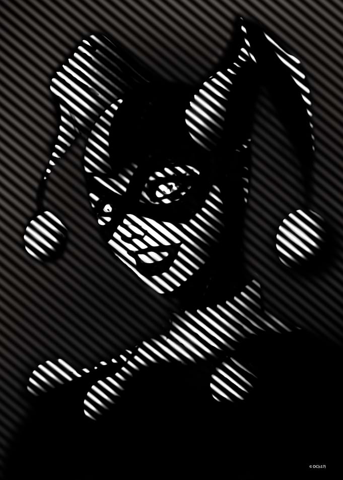 Harley Quinn