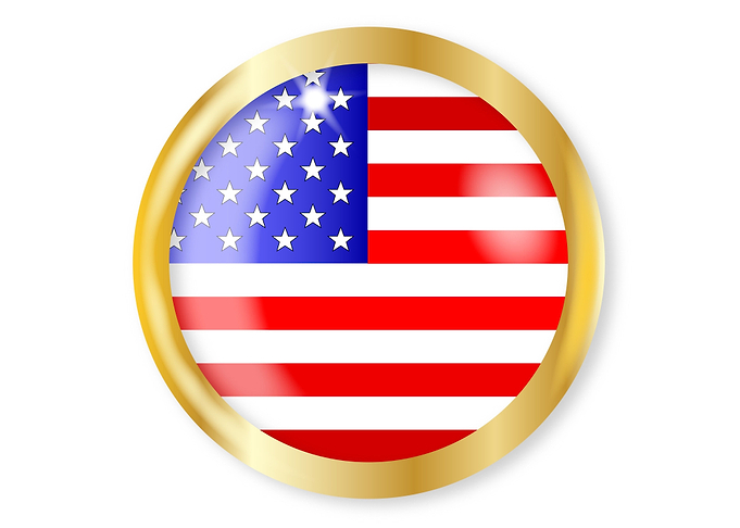 USA Button