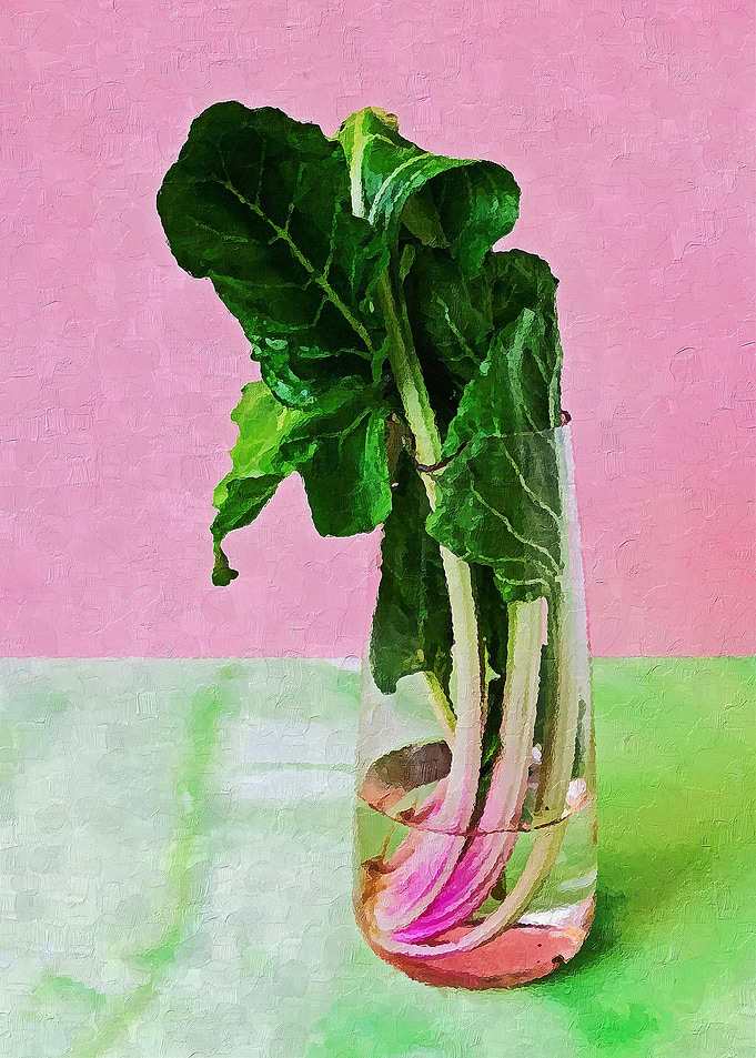 Plant